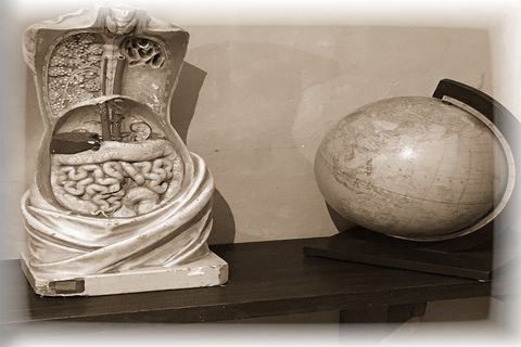 Ve stínu podezření