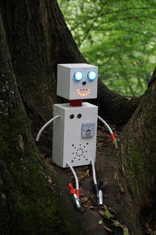 Robo z Křivoklátu