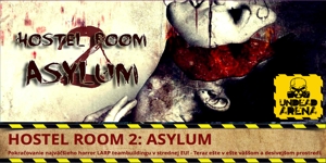 Hostel room 2 - Asylum